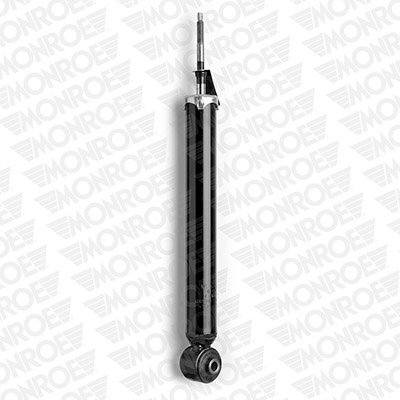 MONG1102.jpg