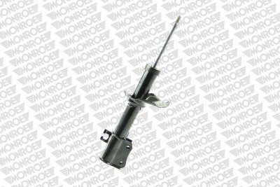 MONG16238.jpg