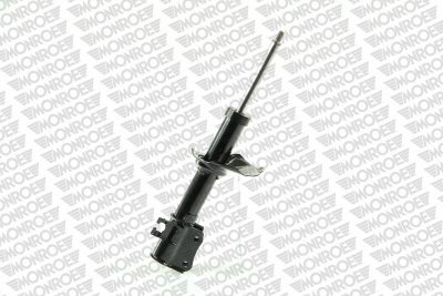 MONG16239.jpg