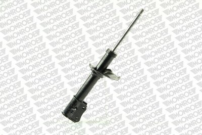 MONG16240.jpg