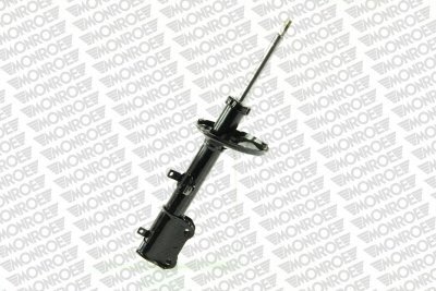 MONG16269.jpg