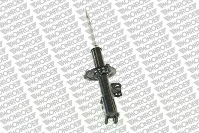 MONG7025.jpg